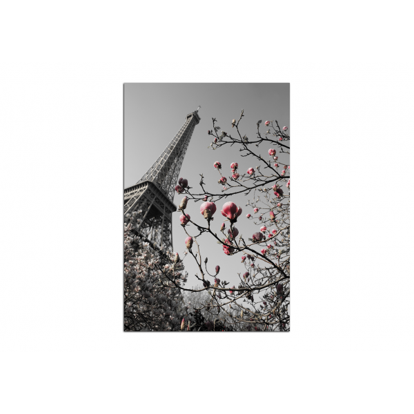 Obraz na plátně - Eiffelova věž v jarním období - obdélník